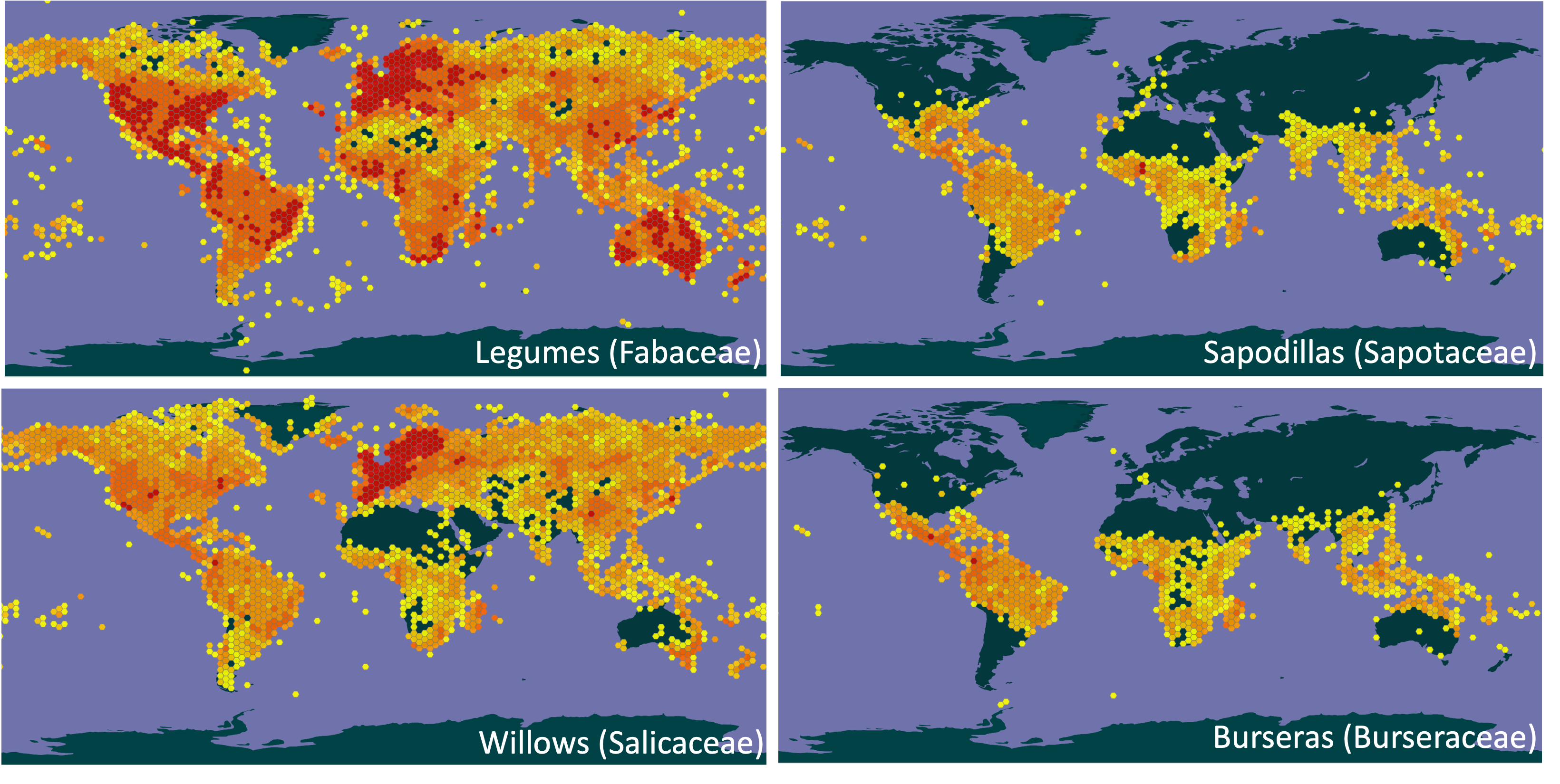 Distribution data from Global Biodiversity Information Facility (GBIF)